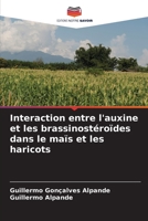 Interaction entre l'auxine et les brassinostéroïdes dans le maïs et les haricots 6205962012 Book Cover