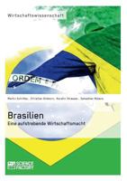 Brasilien. Eine aufstrebende Wirtschaftsmacht 3956870751 Book Cover
