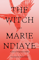 The Witch: A Novel B0FHJYD1WK Book Cover