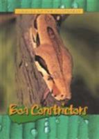 Boa Constrictors (Animals of the Rain Forest) 073983553X Book Cover