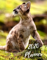 Planner 2020: 365 Days Daily Weekly & Monthly Personal Appointment at a Glance Calendar Planner Spread Views 12 Months to Do List Jan 1, 2020 to Dec 31, 2020 Design Cougar Lover Cover 167668560X Book Cover