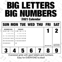 Big Letters Big Numbers 2021 Wall Calendar 177218540X Book Cover