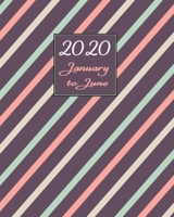 Daily Planner 2020 January - June: Six Months Diary & Appointment Tracker - With Hours, Priorities & To Do List - Designed for Ease of Use & Portability - First Half of Year - Lines 3-Colors Plum 1710108266 Book Cover