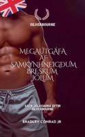 Silverbourne: Megaútgáfa af samkynhneigðum breskum jólum Safn jólasagna eftir Silverbourne (Silverbourne British Gay Romance) (Icelandic Edition) B0G55XY32N Book Cover