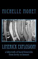 Limerick Explosion: Levity to Lament 1535555602 Book Cover