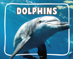 Dolphins (Ocean Animals) B0GHQ45BX8 Book Cover