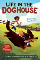 Elmer and the Talent Show 153448261X Book Cover