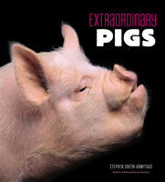 Extraordinary Pigs 0810997428 Book Cover