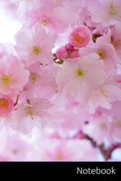 Notebook: 日本の桜、花、春、壁紙 ノートブック/ 日記 / ライティングブック / ノート - 6 x 9インチ(15.24 x 22.86 cm)、150ページ、光沢のある表面。 1701272717 Book Cover