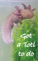 To do list notebook: Got a 'lotl to do 1693778572 Book Cover