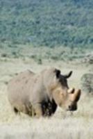 Alive! white rhino - Natural - Photo Art Notebooks (6 x 9 series) 1364345943 Book Cover