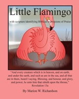 Little Flamingo: identifying Biblical expressions of Praise 153052945X Book Cover