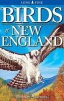 Birds of New England 1551053845 Book Cover