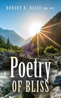 Poetry of Bliss B0DPPBQ7G7 Book Cover