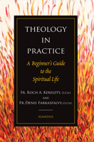 Theology in Practice: A Beginner's Guide to the Spiritual Life 1621646254 Book Cover