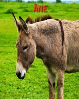 �ne: Recueil pour Enfants de Belles Images & d'Informations Int�ressantes Concernant les �ne B095WSCVTK Book Cover