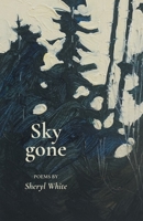 Sky gone 1646622960 Book Cover