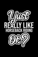 I Just Really Like Horseback Riding Ok?: Christmas Gift for Horseback Riding lover Funny Horseback Riding Journal Nice 2019 Christmas Present for Horseback Riding 6x9inch 120 pages 1702460398 Book Cover