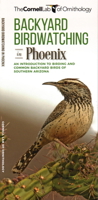 Backyard Birdwatching in Phoenix: An Introduction to Birding and Common Backyard Birds of Southern Arizona 1620053586 Book Cover