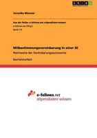 Mitbestimmungsvereinbarung in einer SE: Reichweite der Vereinbarungsautonomie 3640962702 Book Cover