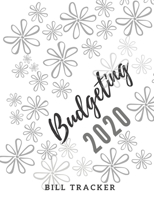 Budgeting 2020: Finance Monthly & Weekly Budget Planner Expense Tracker Bill Organizer Money Budgeting Financial ... bleed-146-pages-cover-size-17.59-x-11.25-inch 1672257484 Book Cover