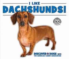 I Like Dachshunds! 076608163X Book Cover