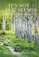 It's Not as It Seems: A Game of Hide and Seek B0B45C458Q Book Cover