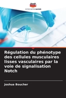 Régulation du phénotype des cellules musculaires lisses vasculaires par la voie de signalisation Notch (French Edition) 6630174593 Book Cover