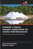 Cementi a basso impatto ambientale da residui dell'Amazzonia: (LC3) da residui caolinitici dell'Amazzonia 6206055035 Book Cover