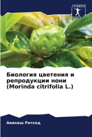 ???????? ???????? ? ??????????? ???? (Morinda citrifolia L.) (Russian Edition) 6207691598 Book Cover