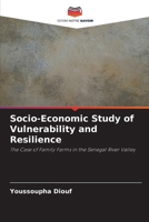 Socio-Economic Study of Vulnerability and Resilience 6209886833 Book Cover