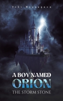 A Boy Named Orion: The Storm Stone 1037106768 Book Cover