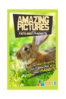 Amazing Pictures and Facts about Rabbits: The Most Amazing Fact Book for Kids about Rabbits 1533668507 Book Cover