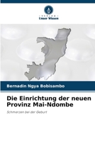 Die Einrichtung der neuen Provinz Mai-Ndombe: Schmerzen bei der Geburt 6205926997 Book Cover