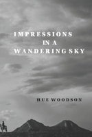 Impressions in a Wandering Sky 173798430X Book Cover