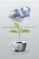 November in January 1640962719 Book Cover