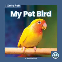 My Pet Bird 1646195841 Book Cover