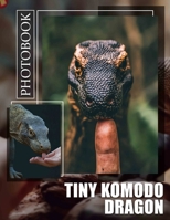 TIny Komodo Dragon Photo Book: Explore 40 Stunning Images of the World's Smallest Komodo Dragon | Nature Wonders B0DPPGD72Y Book Cover