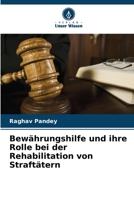 Bewährungshilfe und ihre Rolle bei der Rehabilitation von Straftätern (German Edition) 6207157745 Book Cover