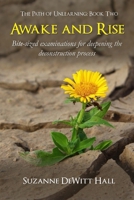 Awake and Rise: Bite-sized examinations for deepening the deconstruction process (The Path of Unlearning) 1734742798 Book Cover
