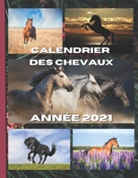 Calendrier des chevaux 2021: Chaque mois une nouvelle magnifique photo de vos animaux préférés, les chevaux B08M21XLVS Book Cover