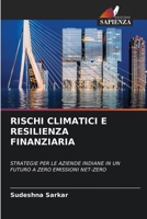 Rischi Climatici E Resilienza Finanziaria (Italian Edition) 6208922194 Book Cover