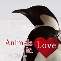 Animals in Love 1840247142 Book Cover