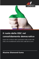 Il ruolo delle OSC nel consolidamento democratico (Italian Edition) 6209421245 Book Cover
