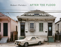 Robert Polidori: After the Flood 3865212778 Book Cover