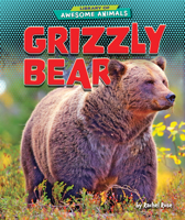 Grizzly Bear (Library of Awesome Animals) 1647471427 Book Cover