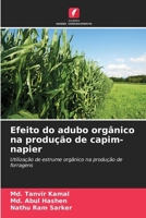 Efeito do adubo orgânico na produção de capim-napier (Portuguese Edition) 6207730739 Book Cover
