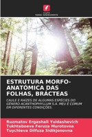 Estrutura Morfo-Anatómica Das Folhas, Brácteas (Portuguese Edition) 6208026067 Book Cover