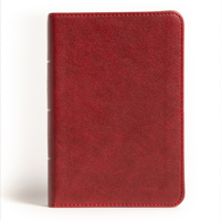 NASB Large Print Compact Reference Bible, Burgundy Leathertouch 1087765730 Book Cover