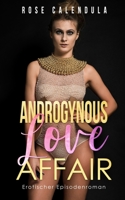 Androgynous Love Affair: Erotischer Episodenroman B09BGKKF3B Book Cover
